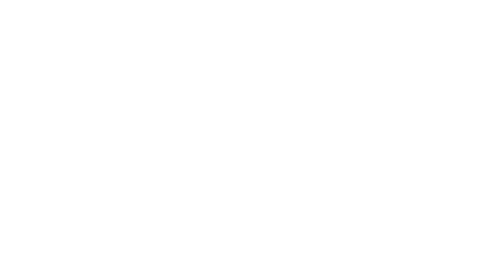 North Allegheny Foundation Logo